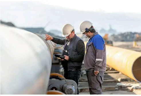 Inspection & Auditing